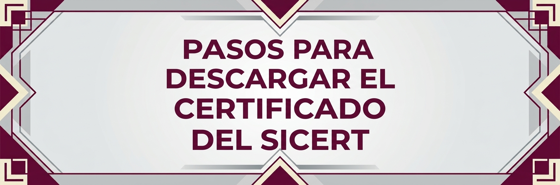 Pasos SICERT
